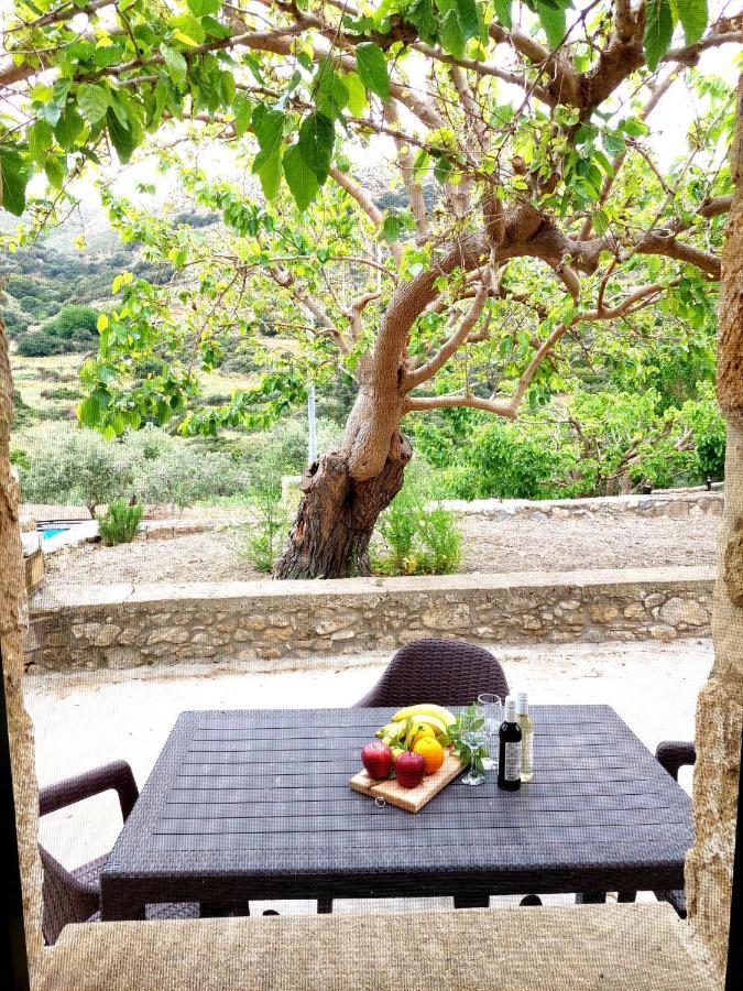 Petrakis Cretan Homes Kíssamos Exteriér fotografie
