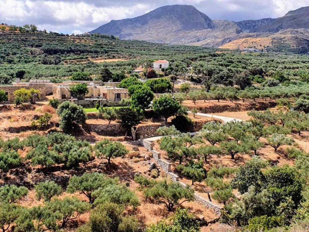 Petrakis Cretan Homes Kíssamos Exteriér fotografie