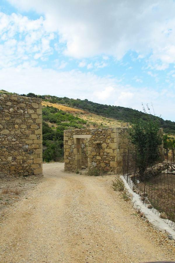 Petrakis Cretan Homes Kíssamos Exteriér fotografie