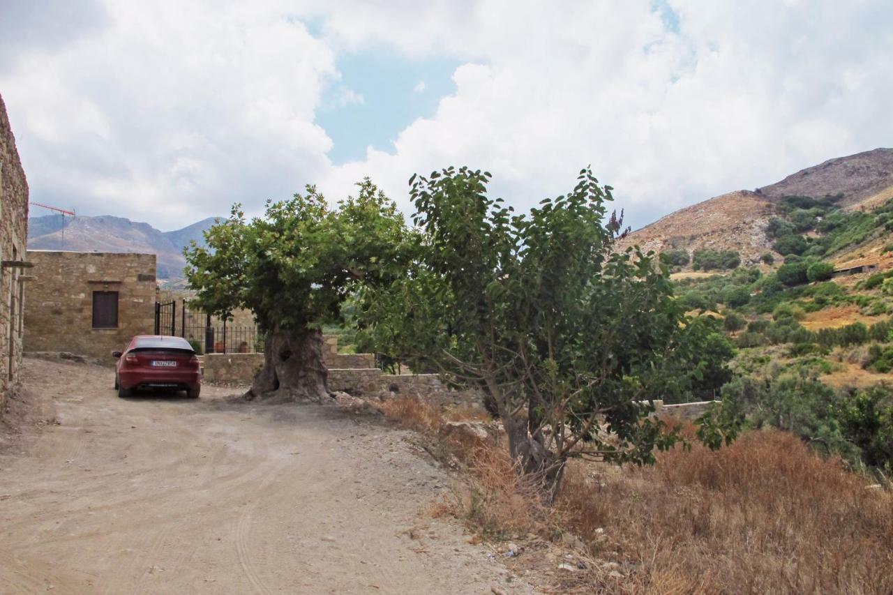 Petrakis Cretan Homes Kíssamos Exteriér fotografie