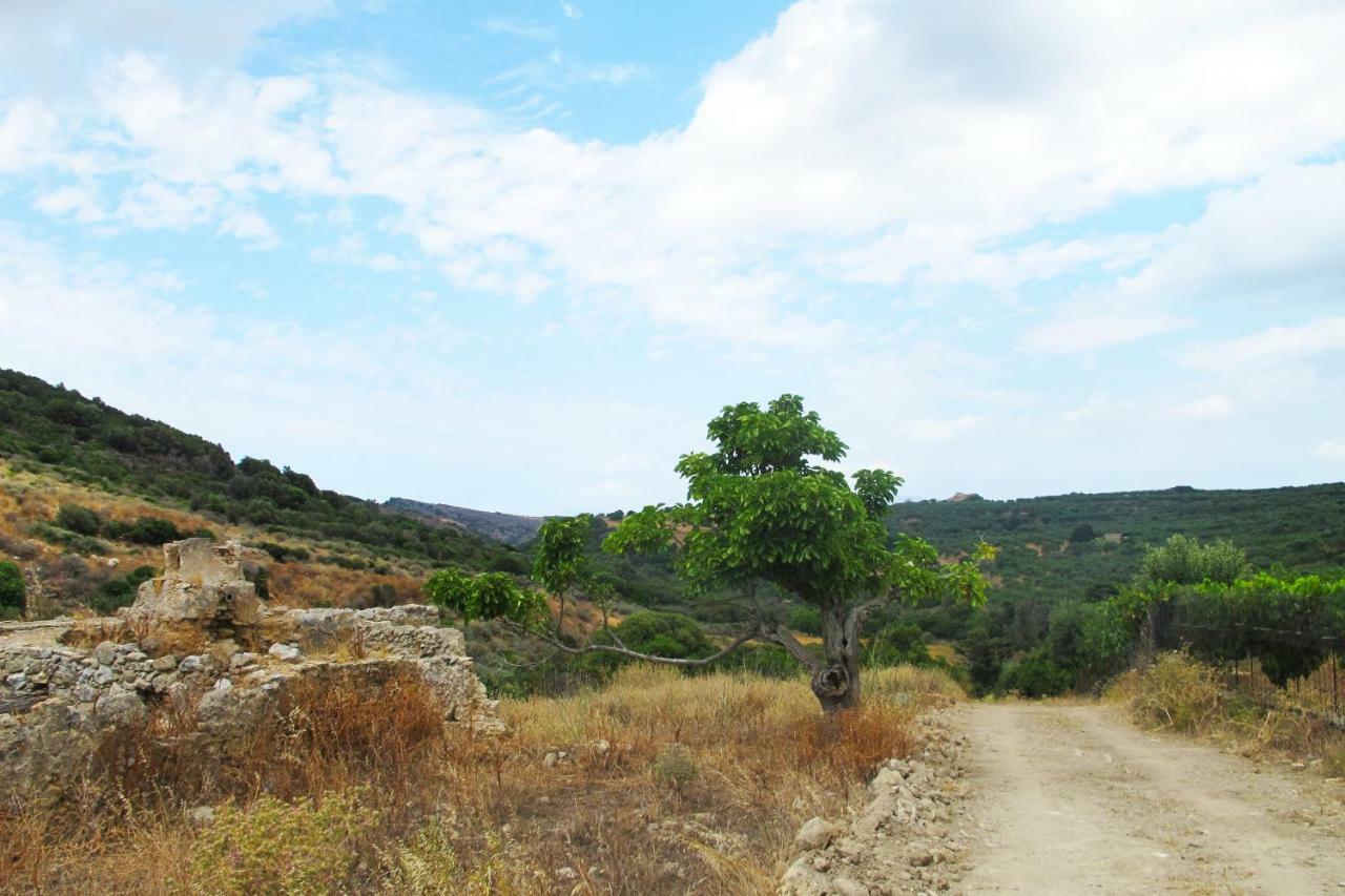 Petrakis Cretan Homes Kíssamos Exteriér fotografie