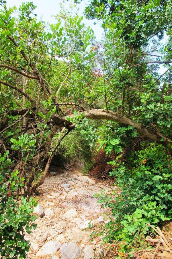 Petrakis Cretan Homes Kíssamos Exteriér fotografie