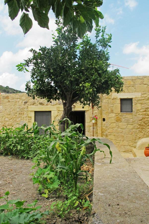Petrakis Cretan Homes Kíssamos Exteriér fotografie