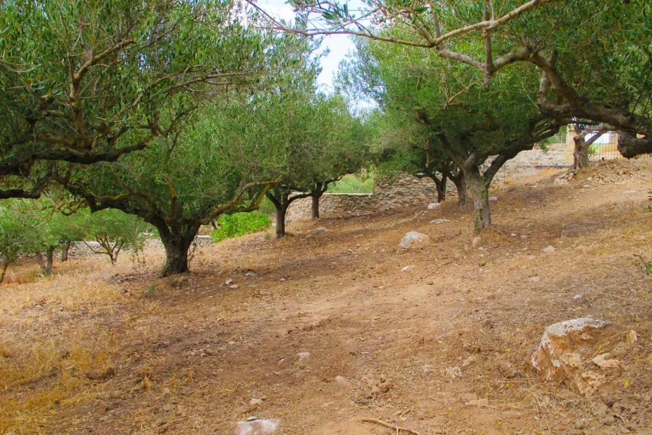 Petrakis Cretan Homes Kíssamos Exteriér fotografie