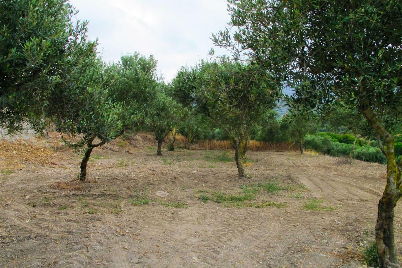 Petrakis Cretan Homes Kíssamos Exteriér fotografie