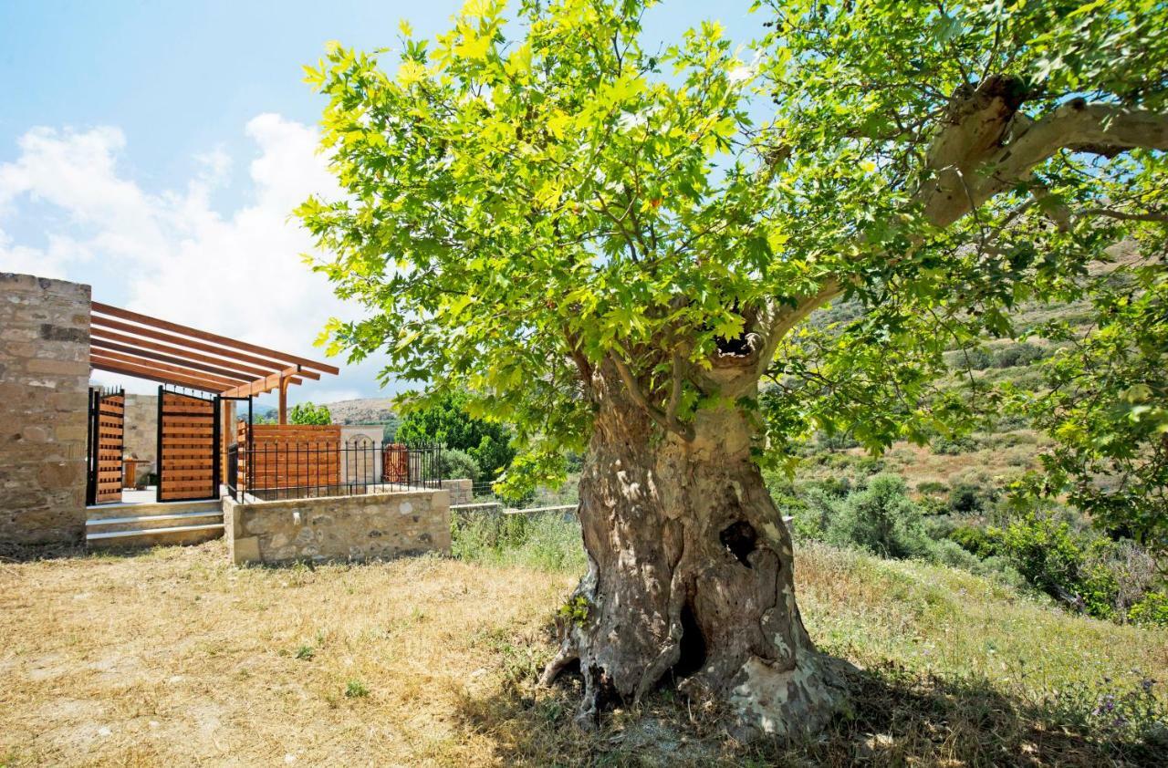 Petrakis Cretan Homes Kíssamos Exteriér fotografie